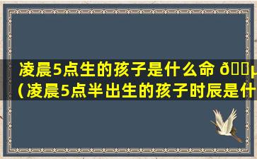 凌晨5点生的孩子是什么命 🐵 （凌晨5点半出生的孩子时辰是什么）